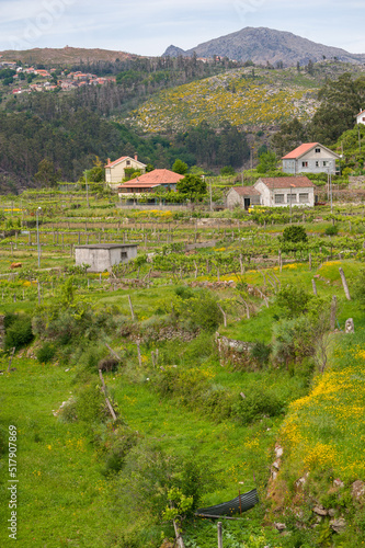 Wallpaper Mural Wieś podnóża gór (Park Narodowy Peneda-Gerês), Północna Portugalia Torontodigital.ca