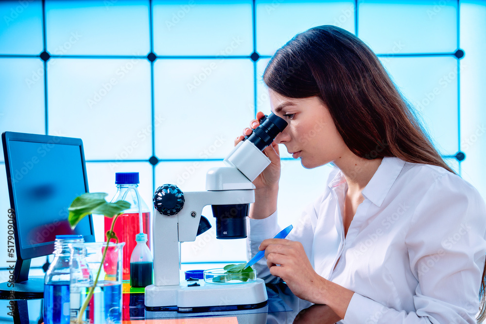 Young woman with microscope in GMO laboratory. Study of green plant of agricultural plants with a microscope Young woman with microscope in GMO laboratory. Study of green plant of agricultural plants with a microscope