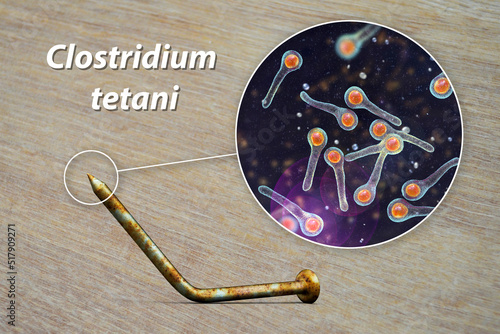 Tetanus. Bacteria Clostridium tetani and rusty metal nail photo