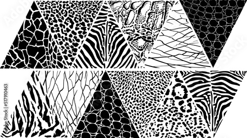 Wild animal background