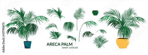 A set for designing a palm tree for the interior. Vector illustration in flat style islolated on white background.