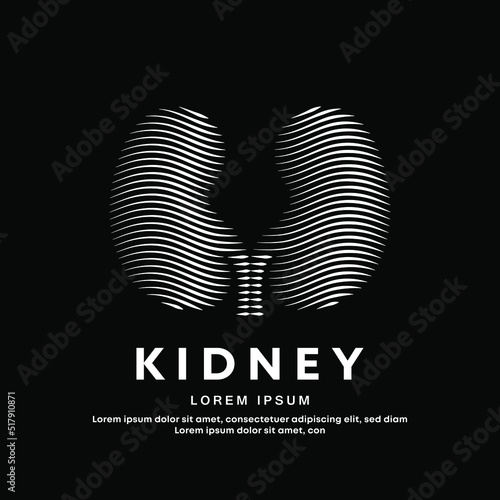 Human kidney medical structure. Simple line art Kidney Urology Care logo designs vector template on a dark background. EPS 10