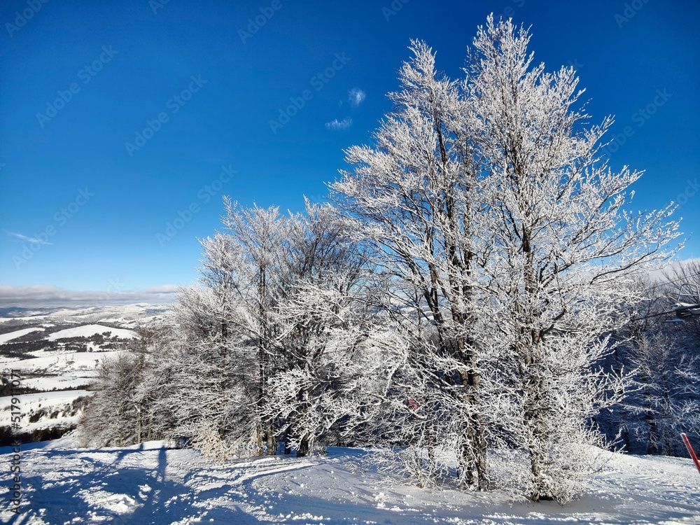 winter landscape with trees
Carpathian Mountains winter landscape with trees
Carpathian Mountains