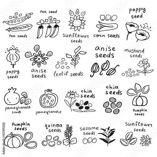 Collection of seeds icons. Outline vector hand drawn illustrations on white background.