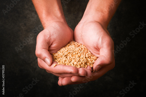 Wheat grain in old plate in hands of male farmer on grunge dark gray old background. Problems with the supply of wheat and flour, global food supply and hunger world crisis concept. Mock up.
