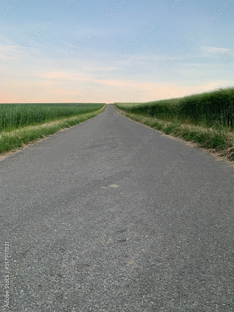 Asphalt narrow road between fields of green crops stretching into the distance