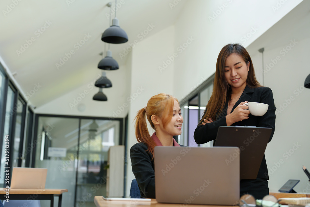 Portrait of an Asian businesswoman consulting, start up a marketing plan to meet the needs of customers in office room.