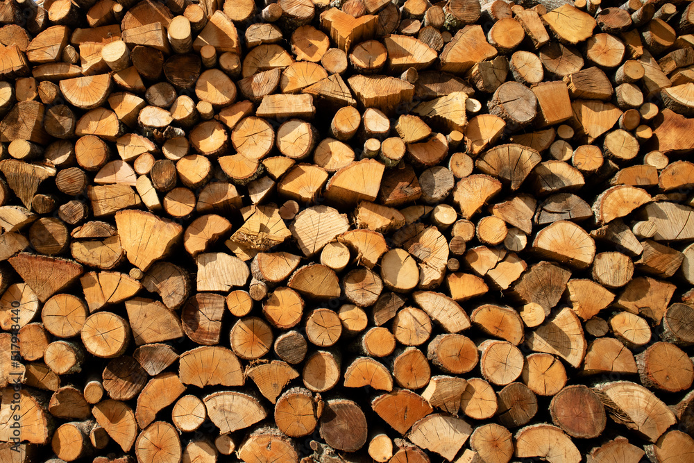 Stock of firewood for the winter Stock of firewood for the winter