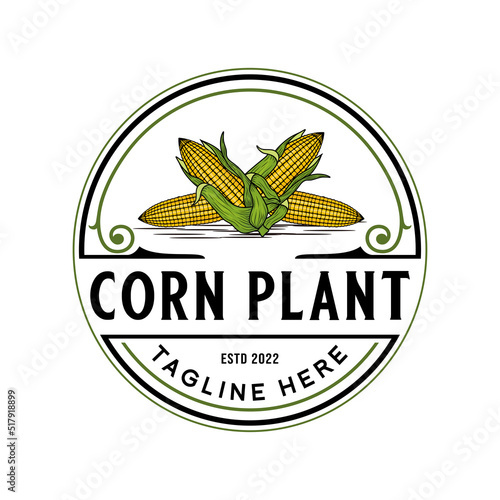 corn vector logo vintage design. corn plant theme for agriculture, corn farmer`