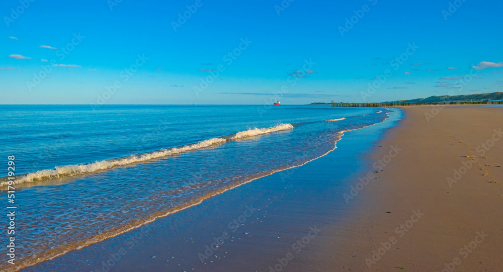 Sand  beach along a sea under a blue sky at a bright sunrise in summer, Walcheren, Zeeland, the Netherlands, July, 2022