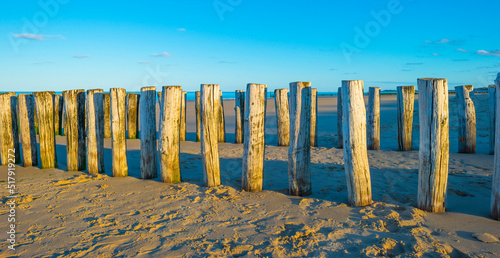 Sand beach along a sea under a blue sky at a bright sunrise in summer, Walcheren, Zeeland, the Netherlands, July, 2022