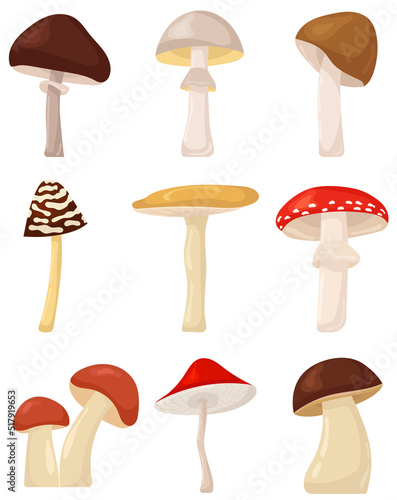 mushrooms set on white background in flat style
