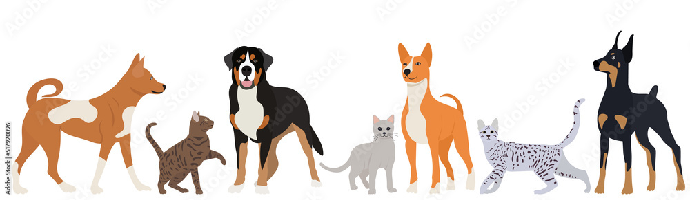 cats and dogs on a white background in a flat style, isolated, vector cats and dogs on a white background in a flat style, isolated, vector