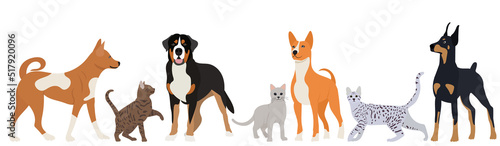 cats and dogs on a white background in a flat style, isolated, vector