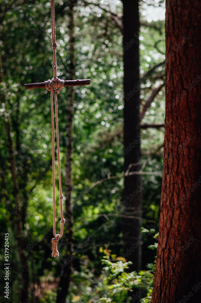 Fototapeta premium rope swing next to a tree