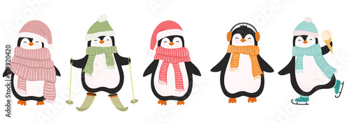 Set of cute christmas penguins isolated on white background. Vector illustration in flat cartoon style for greeting cards, season greetings, web, wrapping papper end other design.