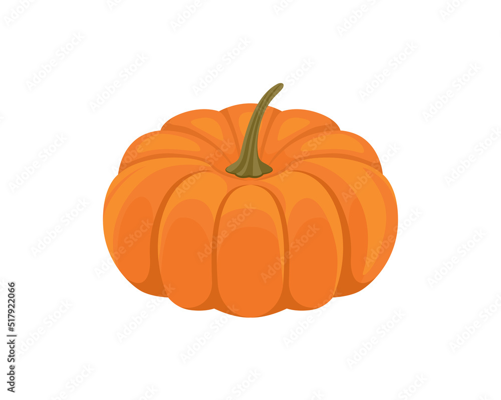 Obraz premium Pumpkin vector illustration. Vegetable flat cartoon icon.