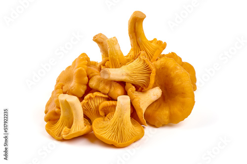 Chanterelle or girolle mushrooms, Cantharellus cibarius, Isolated on white background.