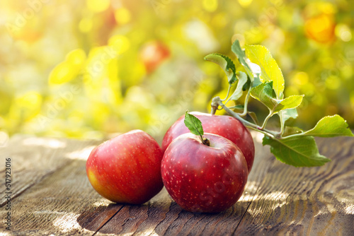 Three red homemade organic apples in an orchard on a wooden table. Ripe apples on garden background. Harvest concept, bio fruits photo