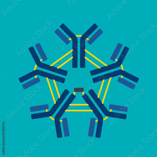 Pentameric IgM structure of Y-shaped antibody