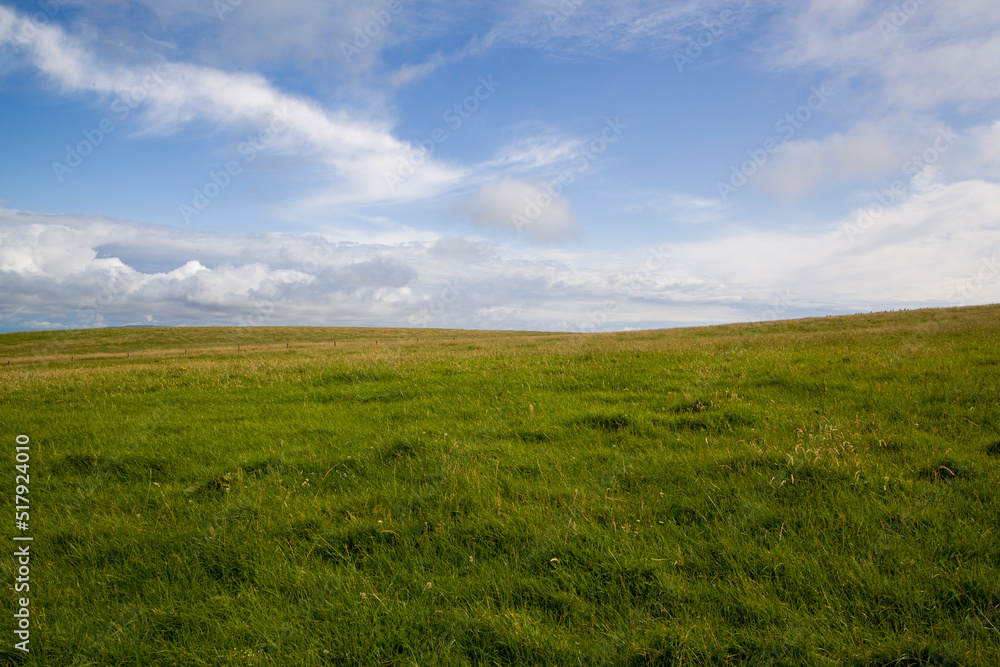 Green meadow Green meadow