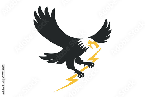 Vector illustration of attacking bald eagle.
