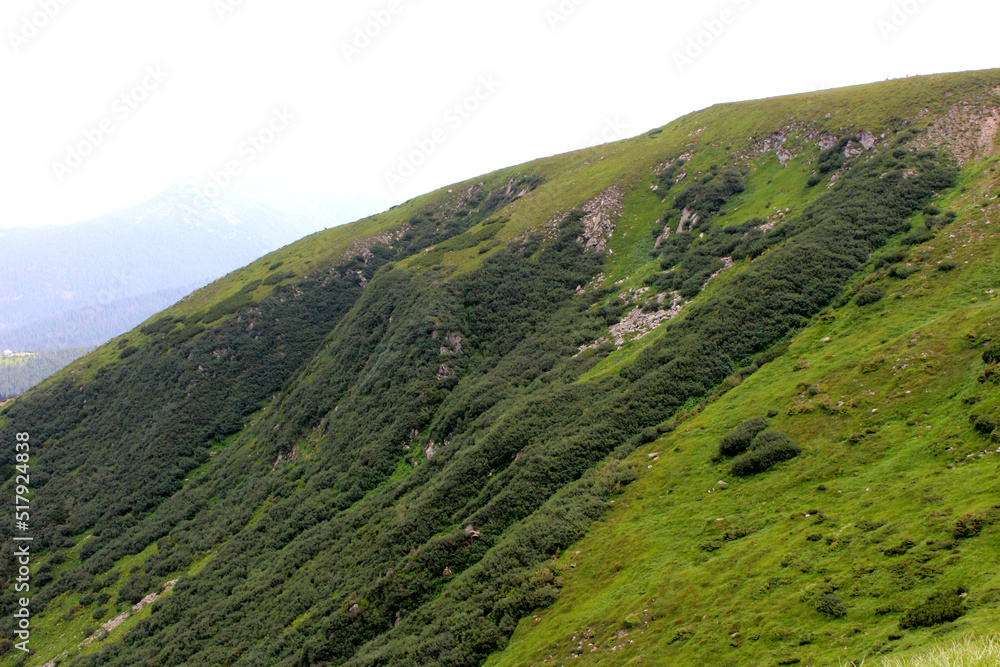 Obraz premium landscape with hills