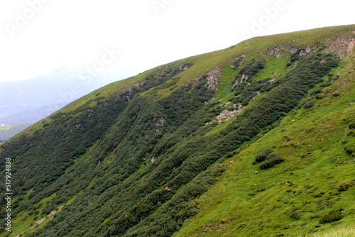 landscape with hills