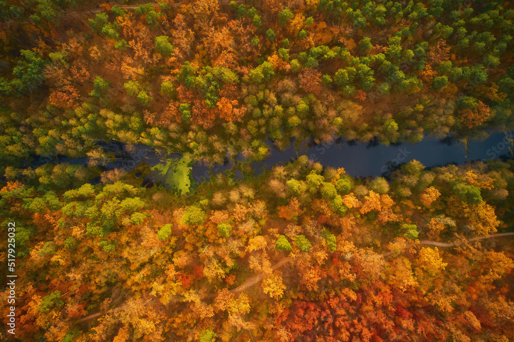 Drone view of the river flowing in autumn forest Drone view of the river flowing in autumn forest