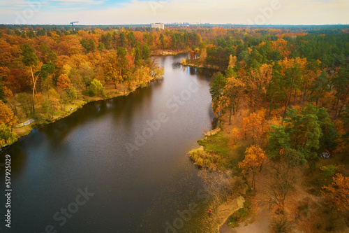 Drone view of the river flowing in autumn forest