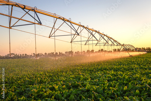 Large mechanized system for watering plants in fields