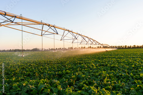 Large mechanized system for watering plants in fields