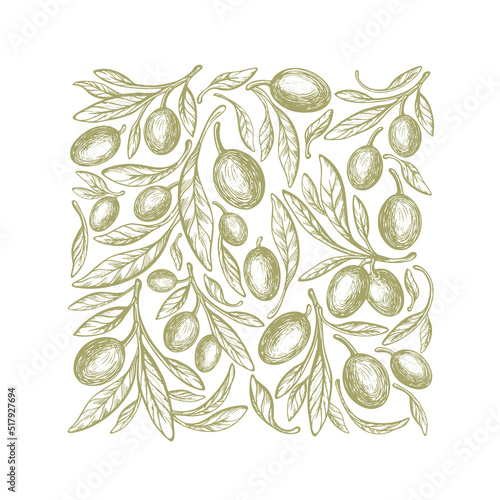 Olive background. Square print Vector green branch