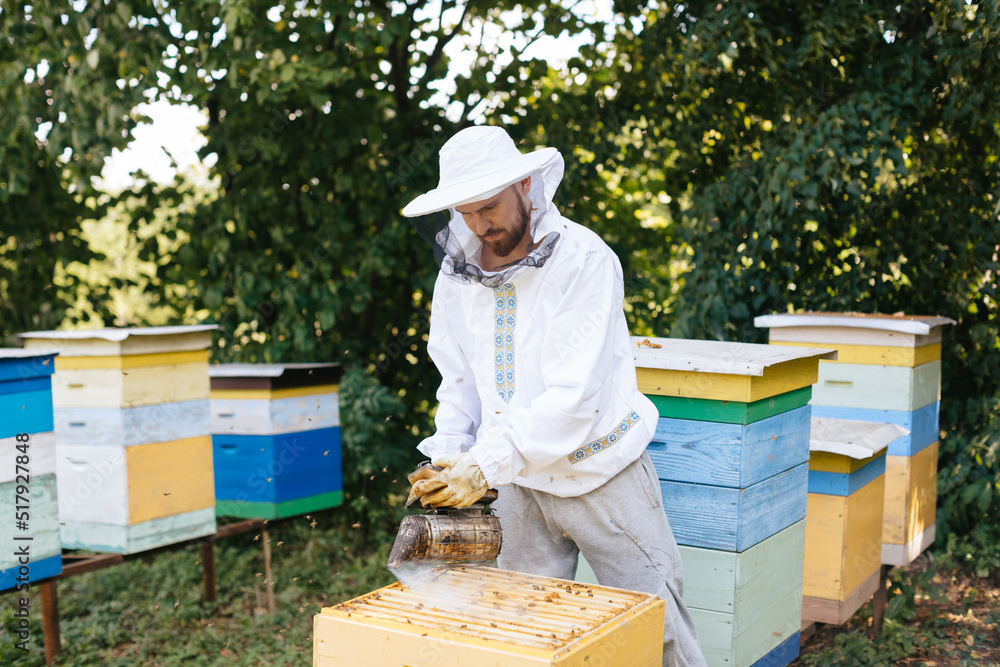 A beekeeper in a protective suit holds a bee frame with bee brood. Inspection of hives. Beekeeping. A beekeeper in a protective suit holds a bee frame with bee brood. Inspection of hives. Beekeeping.