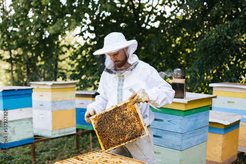 Beekeeper in protective suit is removing honeycomb from beehive. Beekeeping. Beekeeper is working with bees and beehives on apiary. 