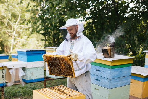 A beekeeper in a protective suit holds a bee frame with bee brood. Inspection of hives. Beekeeping.