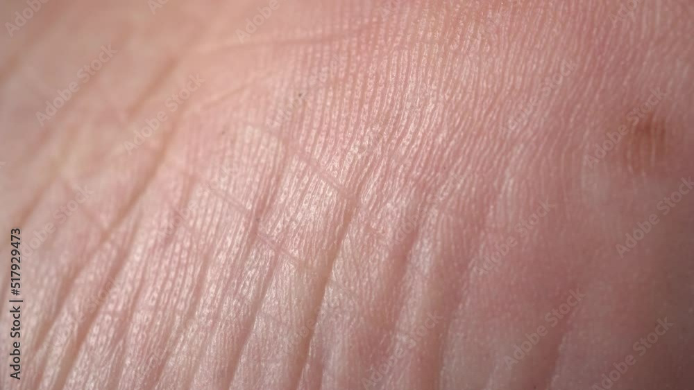 Macro Texture Human Skin Background Slider Shot Macro Texture Human Skin Background Slider Shot