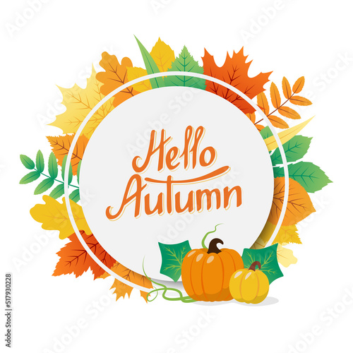 Autumn background design with hello autumn text in the circle frame, colorful leaves and pumpkins. Fall concept for banner, greeting card, party invitation, seasonal sale. Vector illustration