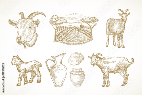 Goat Farm Products and Objects. Cattle, Milk, Cottage Cheese and Rustic Field Landscape Hand Drawn Vector Illustrations Set. Domestic Animals Sketch Bundle. Doodle Style Drawings Collection Isolated