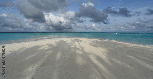 Fototapeta Naklejka Na Ścianę i Meble -  shade from a palm tree on the coast of an island with white sand