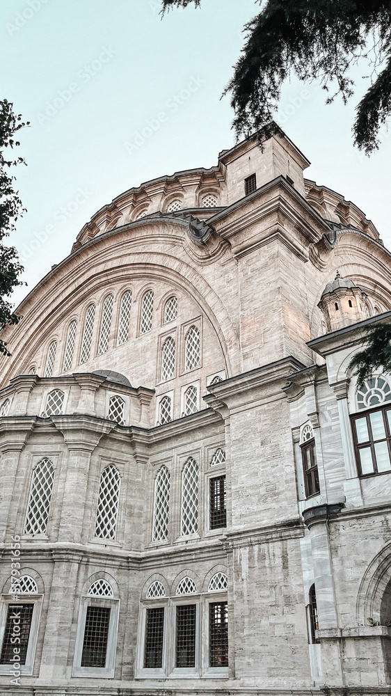Fototapeta premium mosque in istanbul