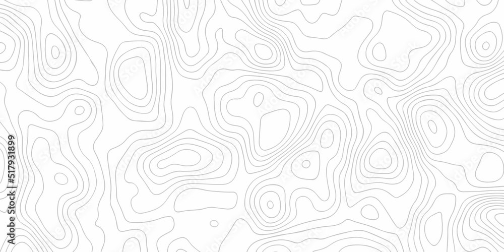 Topographic map lines, contour background, Vector contour topographic map background. Topography and geography map grid abstract backdrop, Luxury black abstract line art. Topographic map lines, contour background, Vector contour topographic map background. Topography and geography map grid abstract backdrop, Luxury black abstract line art.