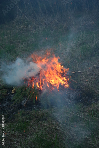fire in the forest © Oksana