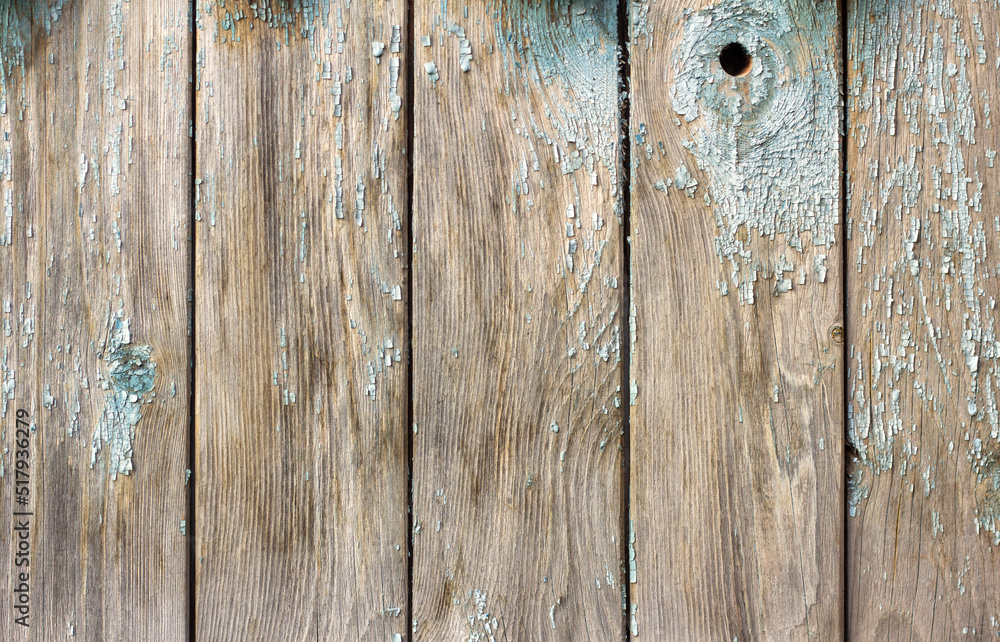 The texture of an old weathered wooden wall with remnants of blue paint. Wooden background with a space to copy. The texture of an old weathered wooden wall with remnants of blue paint. Wooden background with a space to copy.