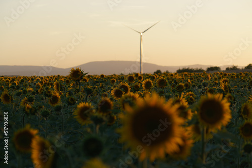 windturbines