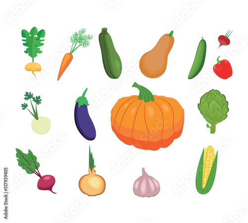 Farm products. A hand-drawn set of colorful doodle vegetables in a fashionable style. Flat icons. Harvest festival. Fresh organic produce from the local farmer's market. Vector illustration.
