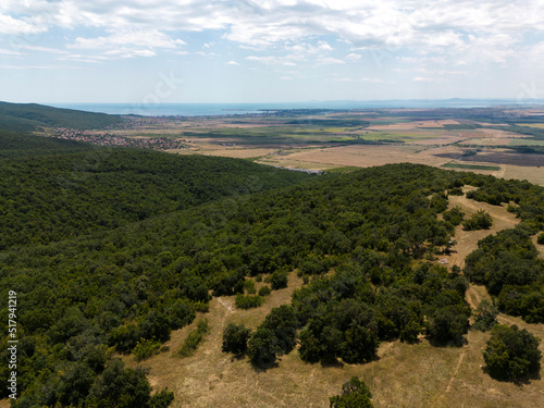 View of the valley and the Black Sea coast on a summer day