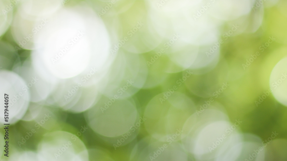 Sunny abstract green nature background, Blur park with bokeh light , nature, garden, spring and summer season Sunny abstract green nature background, Blur park with bokeh light , nature, garden, spring and summer season