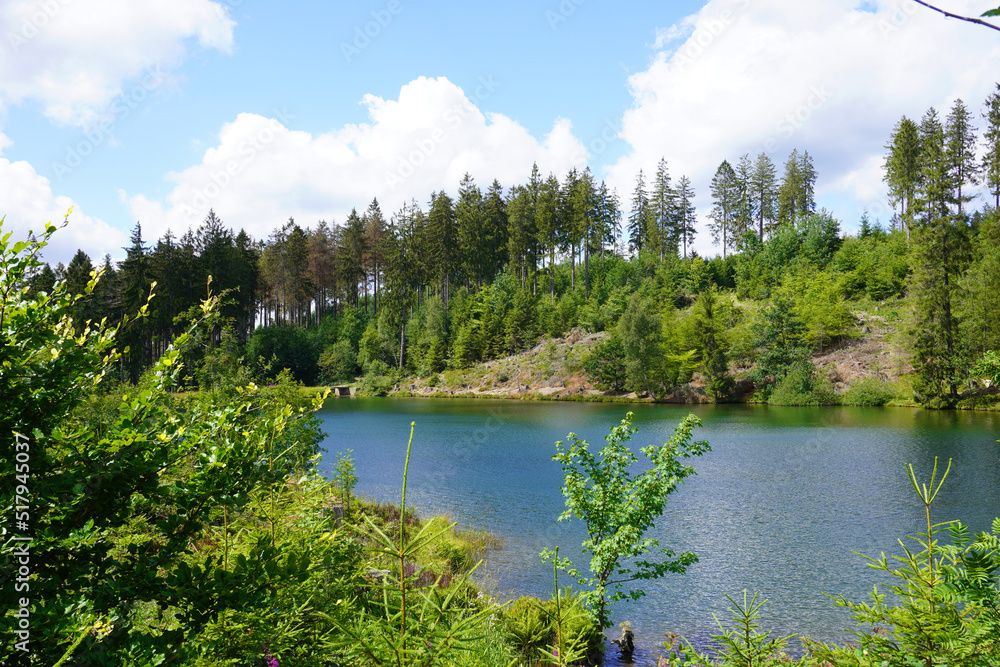 Ein kleiner See beim Liebesbankweg Hahnenklee im Harz