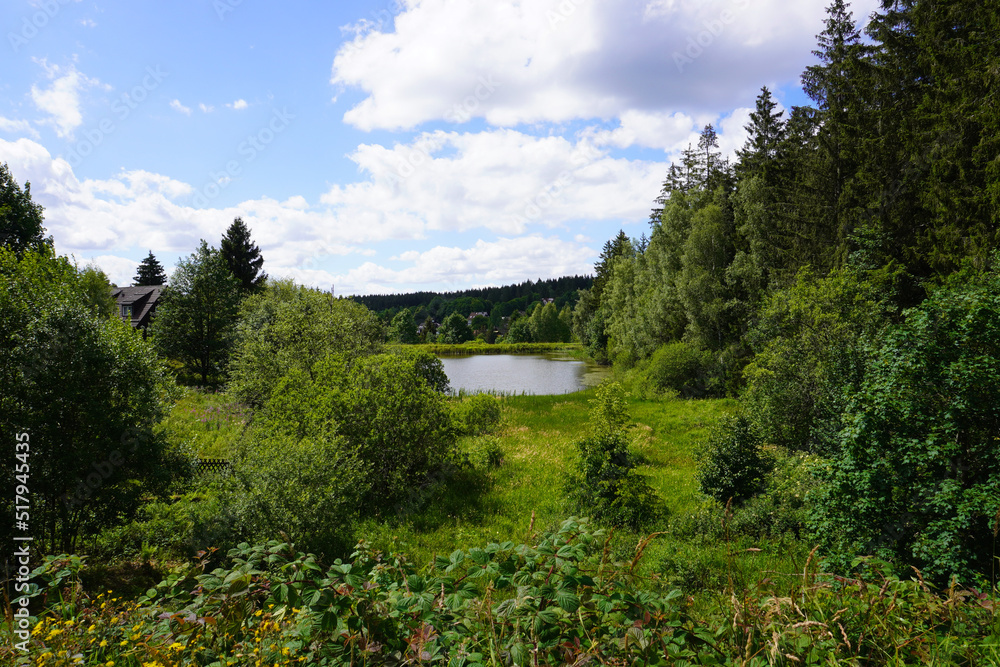 Blick vom Liebesbankweg auf einen kleinen See im Harz